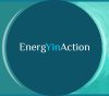 Energy in Action